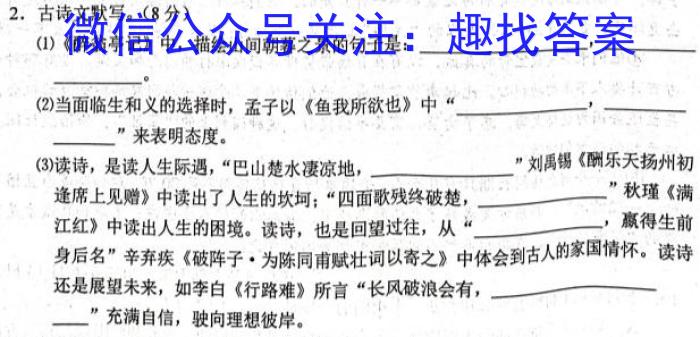 衡中文化2023年衡水新坐标·信息卷(六)语文