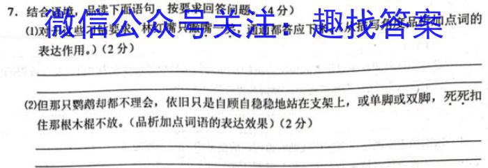 河南省2022-2023学年八年级下学期阶段性评价卷语文