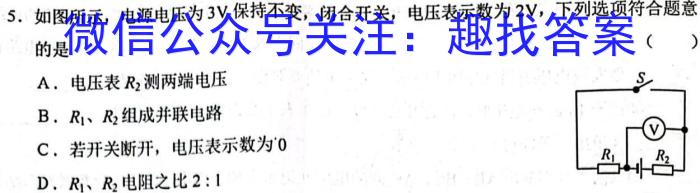 安宁中学高2024届高二下学期第一次适应性检测.物理