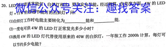 广东省深圳市2023届九年级第二学期模拟考试（3月）物理`