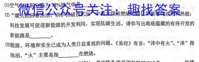 陕西省2023年初中学业水平考试模拟试题（一）化学