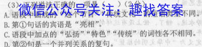 安徽省2023年名校之约·中考导向总复习模拟样卷（九）语文