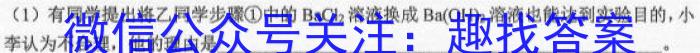 洛平许济2022-2023学年高三第三次质量检测(3月)化学