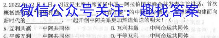 山西省实验中学2023届九年级第二学期第五次阶段性测评（卷）地理.