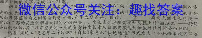 2023届衡中同卷 信息卷 新高考/新教材(二)语文