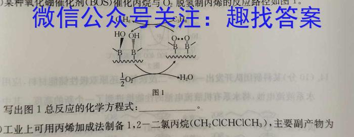 2023年陕西省初中学业水平考试全真模拟试题A版化学