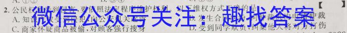 学林教育2023年陕西省初中学业水平考试·名师导向模拟卷(一)B地理.