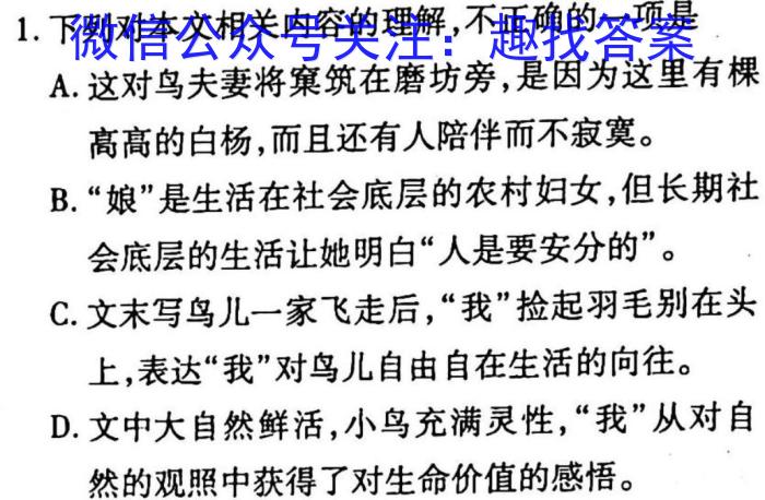 佩佩教育·2023年普通高校统一招生考试 湖南四大名校名师团队模拟冲刺卷(4)语文