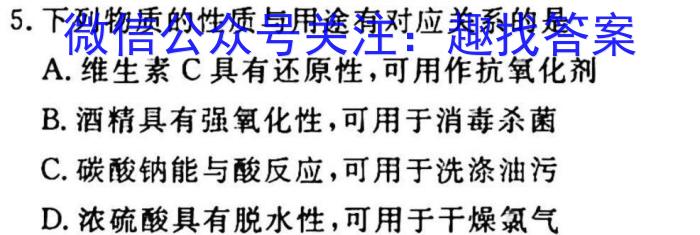 安徽省2023年九年级第一次教学质量检测（23-CZ140c）化学