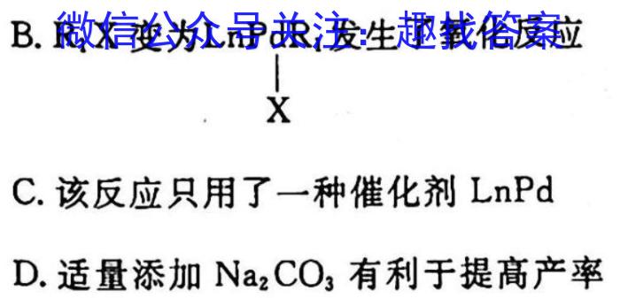 2022~2023学年核心突破QG(二十二)化学