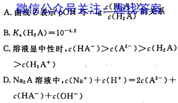 2023年万友中考模拟卷（六）化学