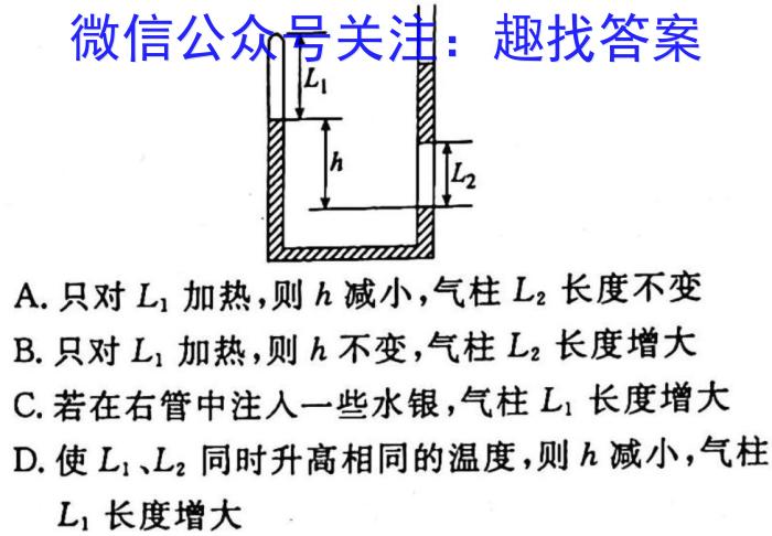 2023届衡中同卷 信息卷 新高考/新教材(二)物理`