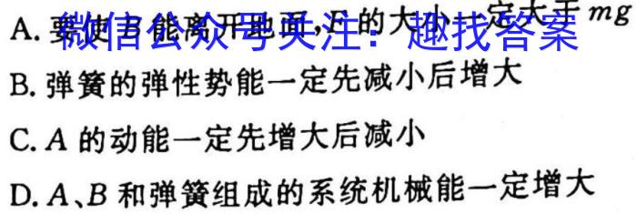 河南省2023年新野县九年级第一次模拟考试（23-CZ123c）q物理