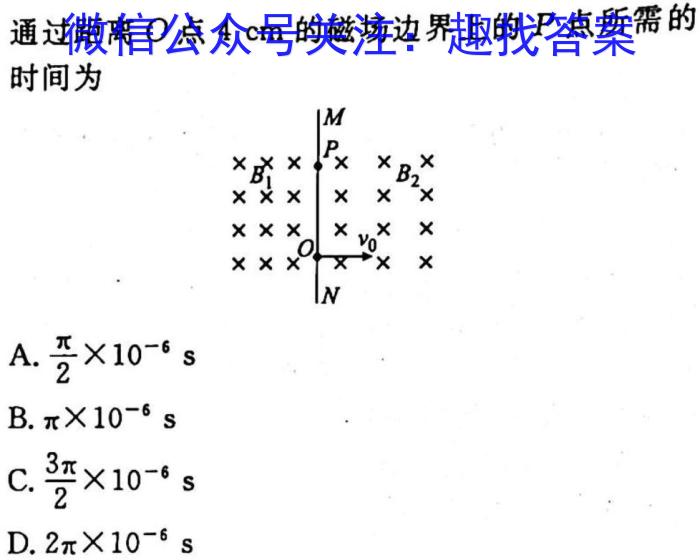 2023届新高考押题04物理`