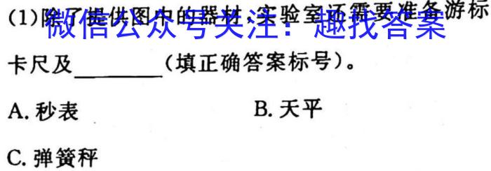 陕西省西安市西咸新区2023年初中学业水平考试模拟试题（一）B版.物理