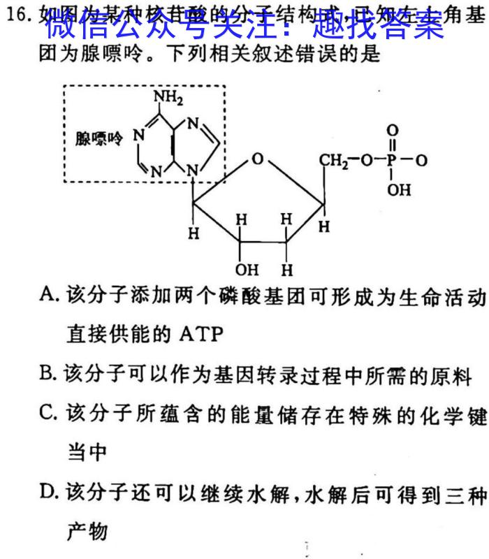 2023年全国高考名校名师联席命制押题卷（二）生物