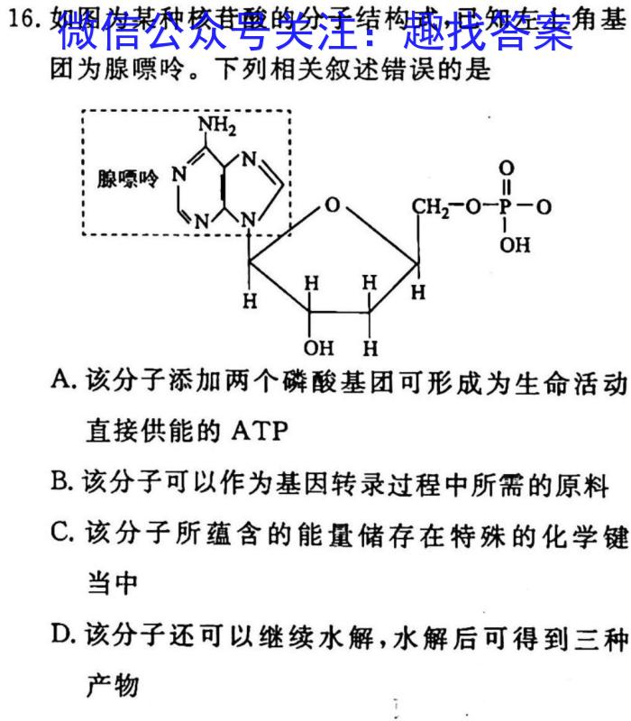 寿春中学2023届毕业班第一次模拟考试生物