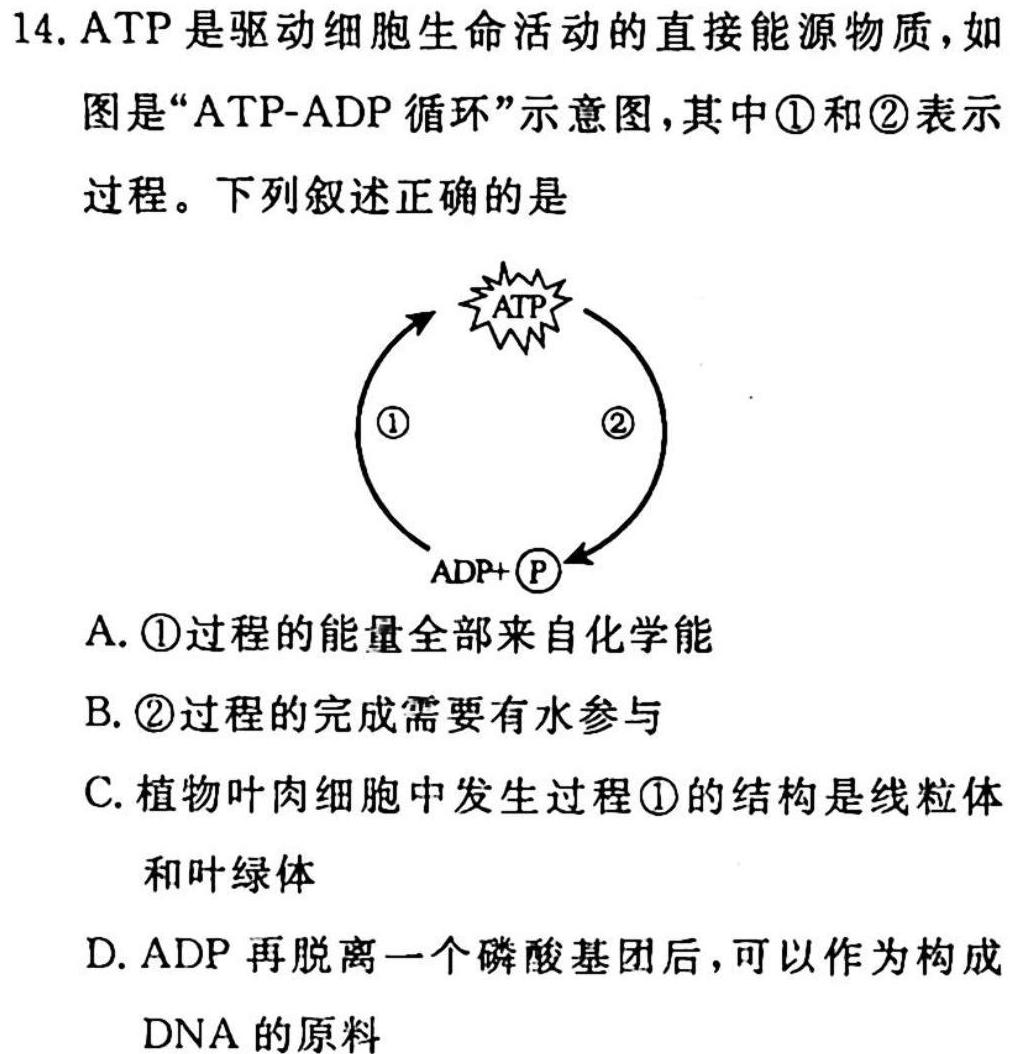 2023年普通高等学校招生全国统一考试·调研模拟卷XK-QG(四)生物