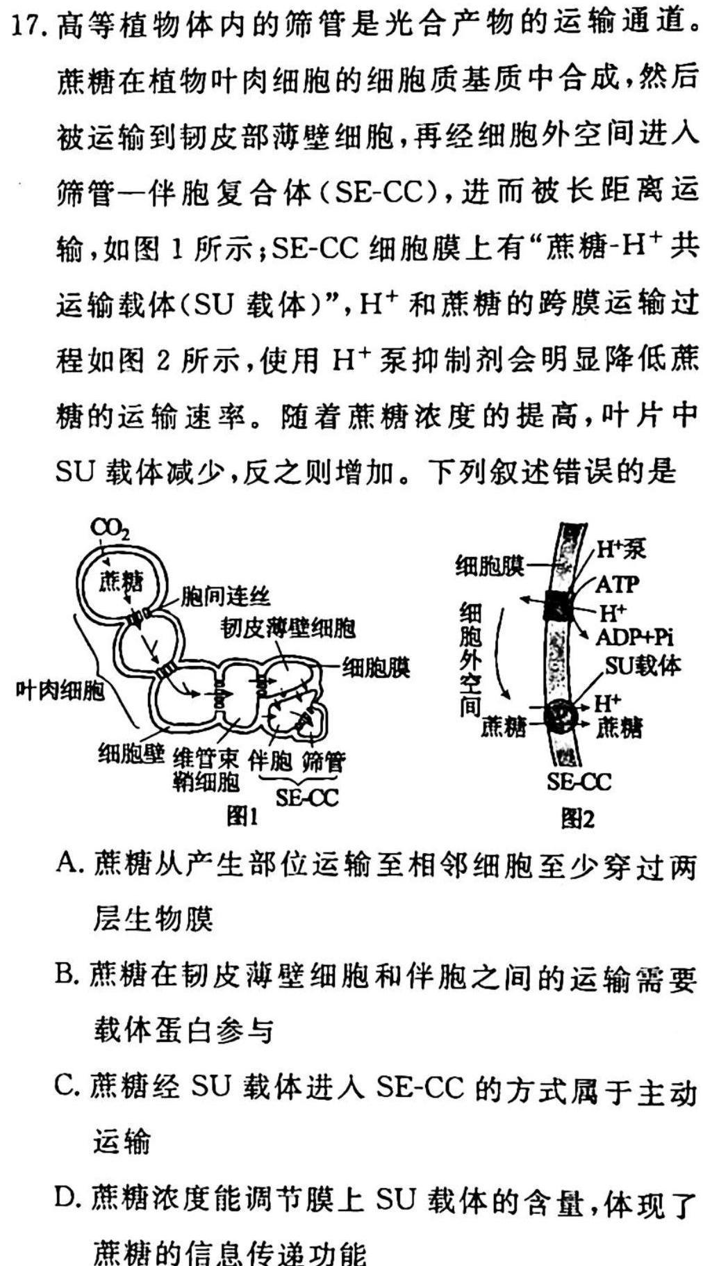 2023年普通高等学校招生全国统一考试金卷仿真密卷(十一)11 23新高考·JJ·FZMJ生物