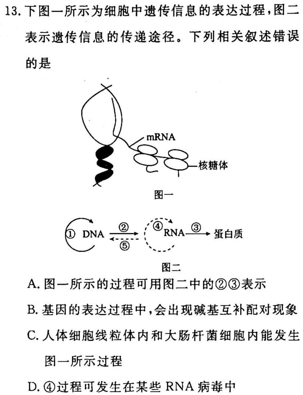 2023届全国普通高等学校招生统一考试(新高考)JY高三模拟卷(七)生物