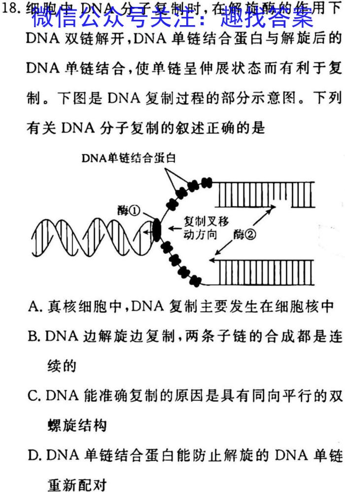 桂柳文化2023届高三桂柳鸿图信息冲刺金卷三四生物