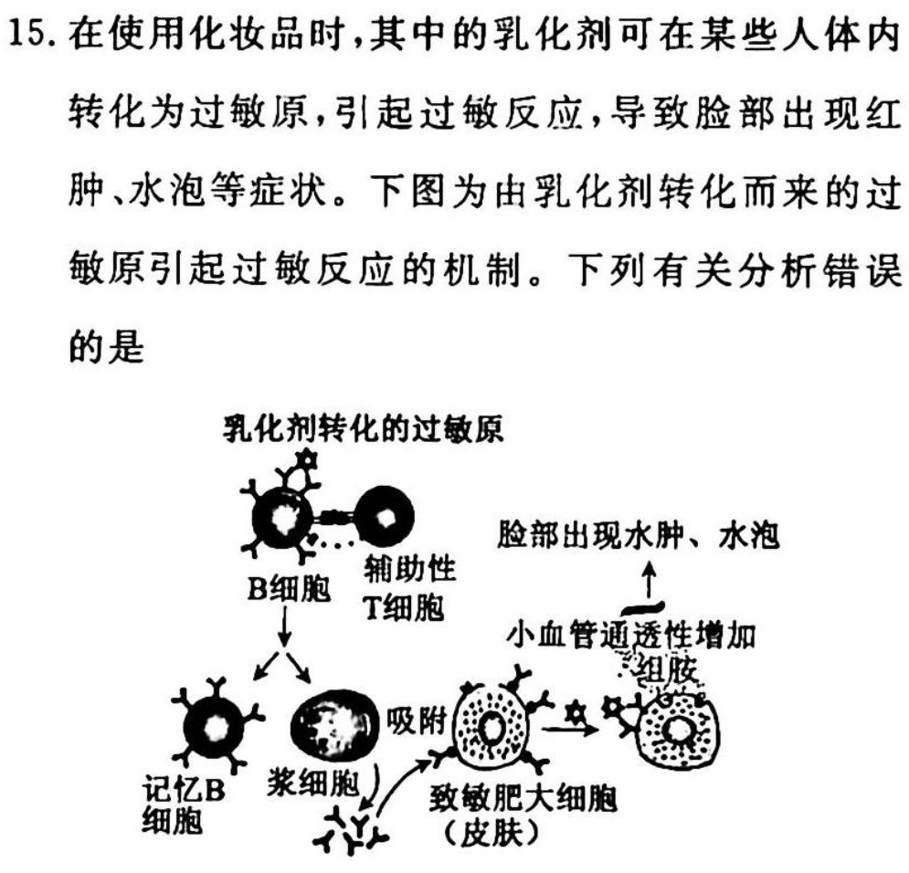 023年普通高等学校招生伯乐马模拟考试(四)4生物试题及答案"