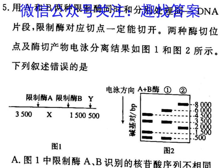 2023年山西中考千校模拟试题（一）生物