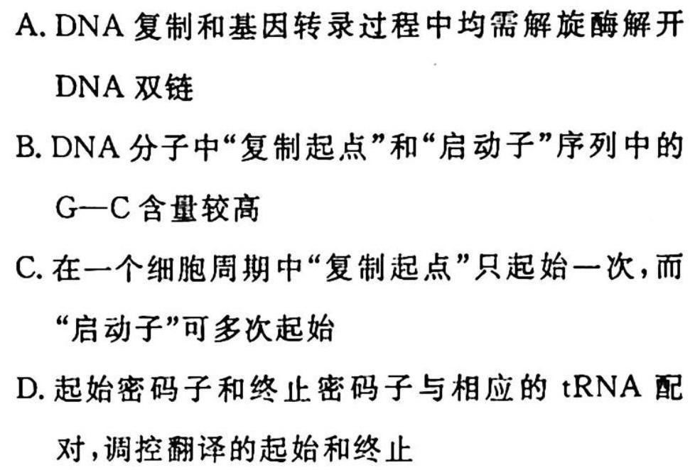 2023年湖北省新高考信息卷(四)生物