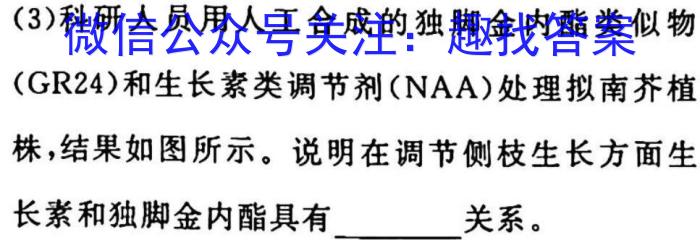 2023河北五个一名校联盟高三3月联考生物试卷答案