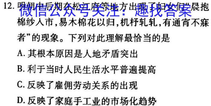 2023年九师联盟高三年级4月质量检测（L）历史试卷