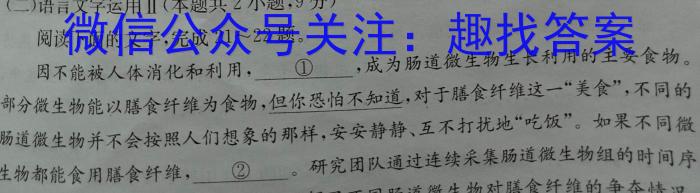 2023年普通高等学校全国统一模拟招生考试 高三新未来4月联考语文