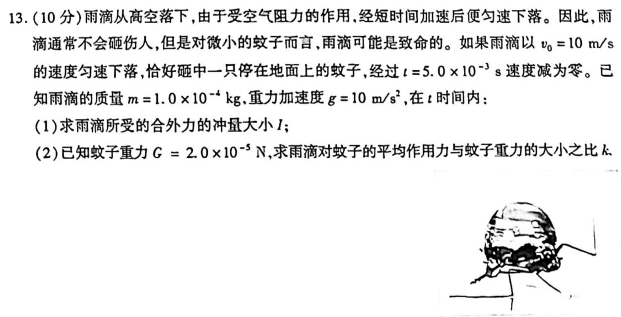2023年陕西省初中学业水平考试全真模拟（三）B版-物理