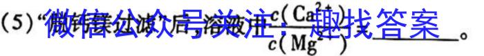 合阳县2023年初中学业水平第一次模拟考试化学