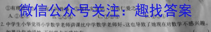 2023年商洛市第一次高考模拟检测试卷(23-347C)政治~