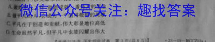 024-023学年安徽省九年级下学期阶段性质量监测（六）q地理"