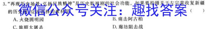 2023年山西省初中学业水平测试信息卷（三）历史
