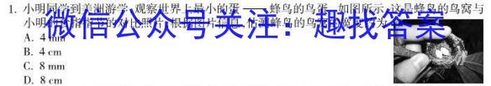 皖智教育安徽第一卷·2023年安徽中考信息交流试卷(一)1物理`