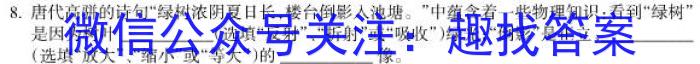 安徽省2023年含山县九年级教学质量检测试卷.物理