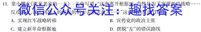 安徽省2023届九年级下学期教学评价一政治s