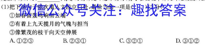 2023届河北大联考高三年级3月联考语文