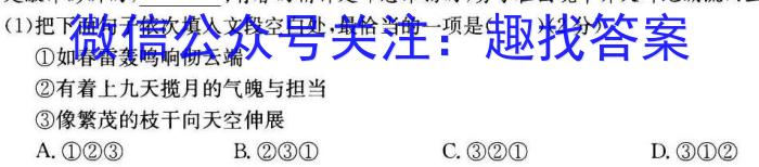 2023年全国高考名校名师联席命制押题卷（四）语文