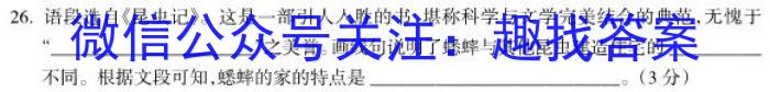 江西省2023届九年级江西中考总复习模拟卷（四）语文