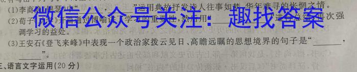 河南省2023年初中中招诊断测试卷语文