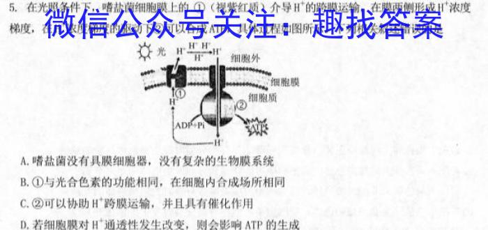 安师联盟2023年中考权威预测模拟考试（三）生物试卷答案