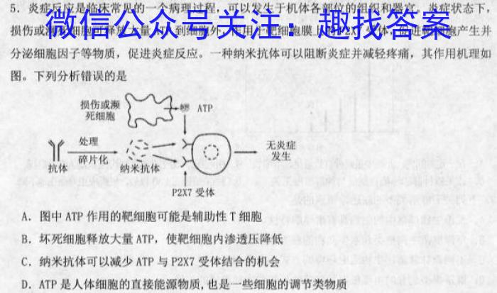 ［桂林一模］2023届广西省桂林市高三第一次模拟考试生物