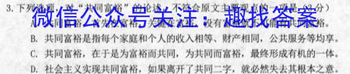 佩佩教育·2023年普通高校统一招生考试 湖南四大名校名师团队模拟冲刺卷(3)语文