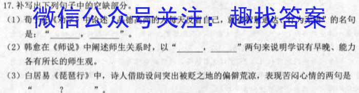 炎德英才大联考2023届湖南新高考教学教研联盟高三第一次联考语文