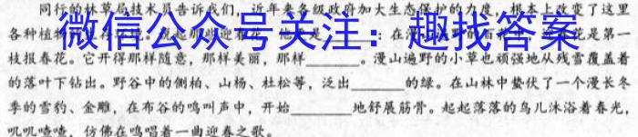 安徽省芜湖市无为市2022-2023学年九年级中考模拟检测（一）语文