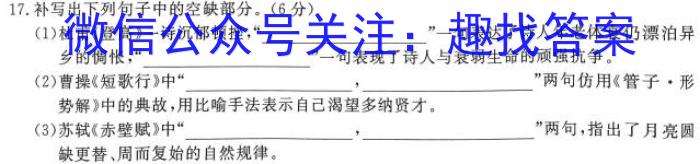 四川省成都七中高2023届高三二诊模拟考试语文