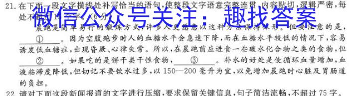 山西省实验中学2023届九年级第二学期第五次阶段性测评（卷）语文